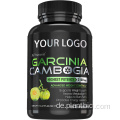 Gewichtsverlust Garcinia Cambogia Fruchtextrakt HCA Pulver